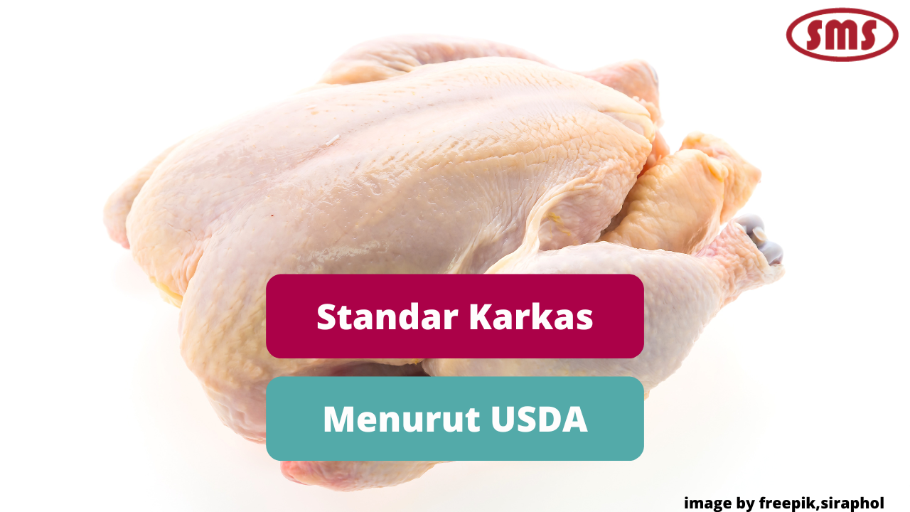 Ketentuan Standar Karkas Sesuai USDA